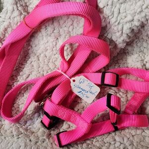 Pink Harness & Leash